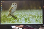 Dell P2411HB Monitor- No Stand (OF-1). Fixed Price $18.00.