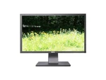 Dell Professional P2411HB 24" Full Hd 1920 X 1080 5MS Vga Dvi Usb 2.0 Hub Widesc. Fixed Price $99.99.